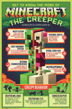 Minecraft Creepy Behaviour - Maxi Poster