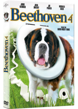 Beethoven 4