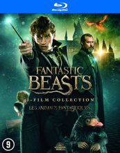 Fantastic Beasts - 3-Film Collection