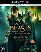 Les Animaux Fantastiques - 3-Film Collection - Combo 4K UHD + Blu-Ray