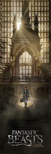 Fantastic Beasts - Newt Scamander Arrival Door Poster